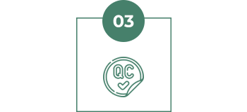 03